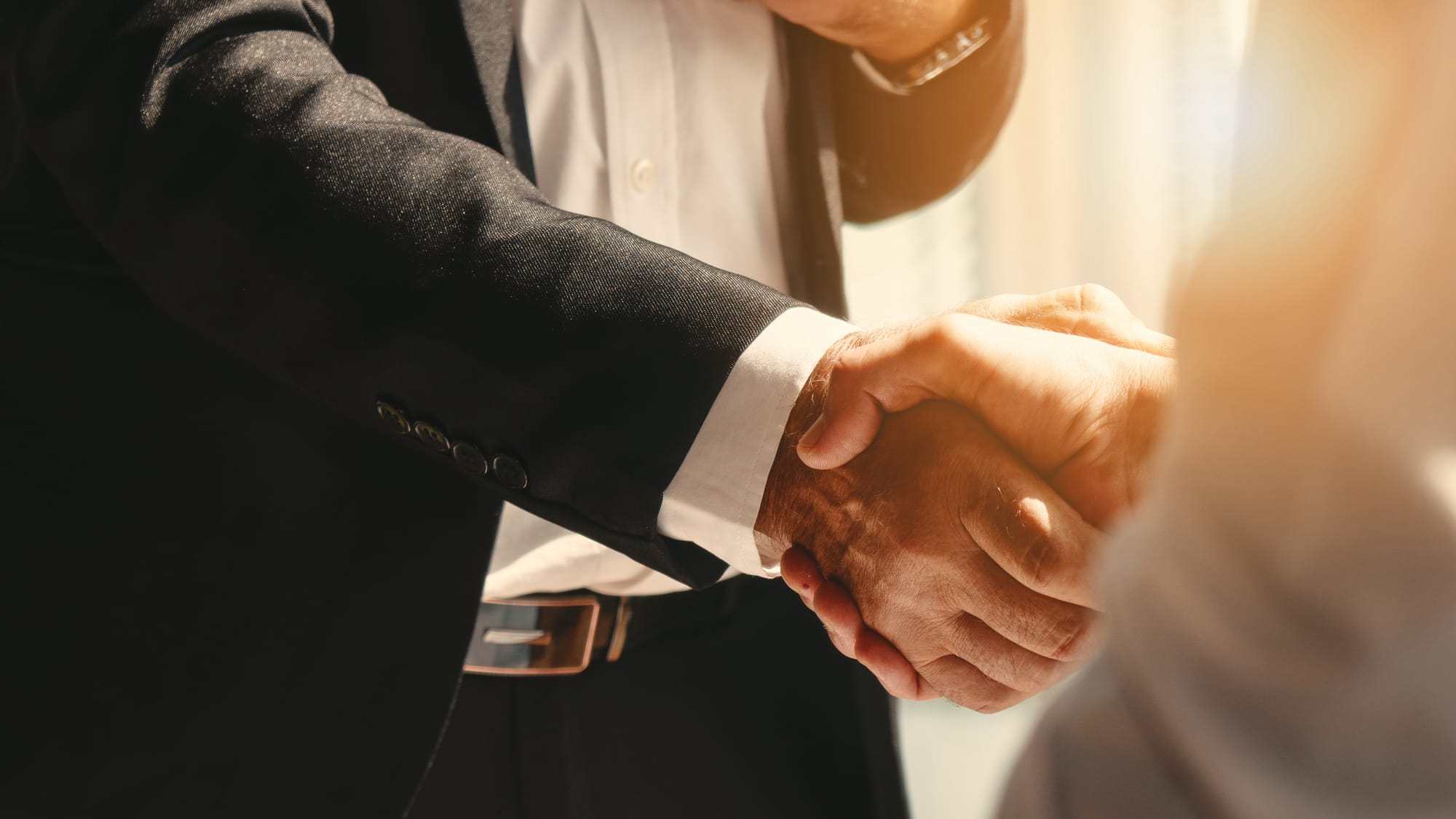 closeup of two business people shaking hands
